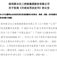 曾花近8億買(mǎi)下儲(chǔ)量超億噸大礦的央企因虛增利潤(rùn)被罰955萬(wàn)！